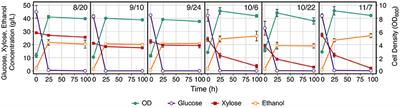 Pre-senescence Harvest of Switchgrass Inhibits Xylose Utilization by Engineered Yeast